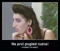 FB_IMG_1702854359739.jpg