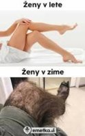 images (1).jpeg
