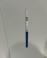 IMG_1553.jpeg