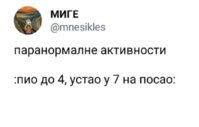 IMG_4307.jpeg