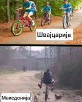 FB_IMG_1703181033037.jpg
