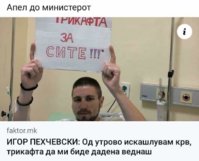 FB_IMG_1703290740499.jpg