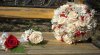 roses_flores(7).jpg