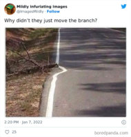 1479457974791942146-png__700.jpg