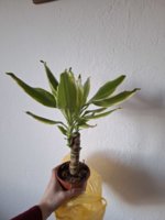 20231225_153953.jpg