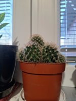 20231225_155617.jpg