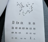 17BF2CB5-B565-4AC1-9F09-931F1C6EDA15.jpeg