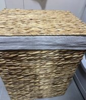 IMG_2120.jpeg
