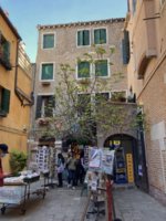 IMG_9647.jpeg