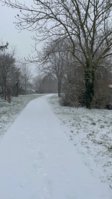 IMG_8789.jpeg