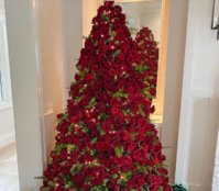 IMG_20240122_092721.jpg