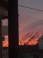20240129_065636.jpg