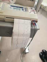 IMG_20171101_071255.jpg