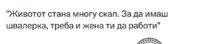 IMG_20240220_131950.jpg