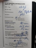 IMG_4986.jpeg