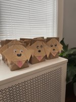 IMG_4881.jpeg