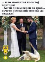 FB_IMG_1710839316004.jpg