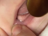 IMG_3766.jpeg