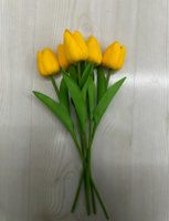 IMG_1268.jpeg