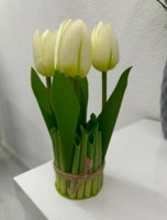 IMG_1262.jpeg