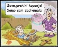 FB_IMG_1711838275945.jpg