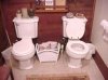 DoubleToilets.jpg