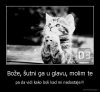 boze sutni ga(nedostaje mi).jpg