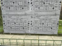 IMG_7685.jpeg