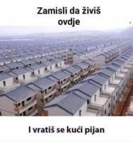 FB_IMG_1712866785427.jpg