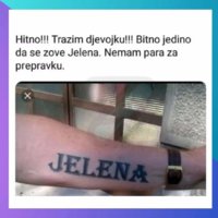 FB_IMG_1713211287046.jpg