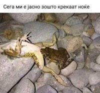 FB_IMG_1713273792331.jpg