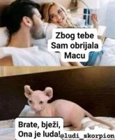 FB_IMG_1713310066166.jpg