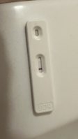 IMG_2074.jpeg