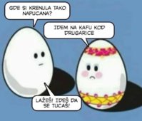 FB_IMG_1713447930669.jpg