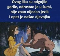 FB_IMG_1713524884597.jpg