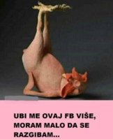 FB_IMG_1713520240151.jpg