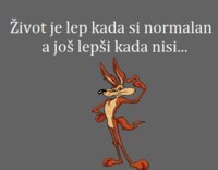 FB_IMG_1713527377245.jpg