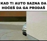 FB_IMG_1713533349444.jpg
