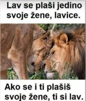 FB_IMG_1713533703931.jpg
