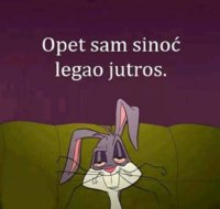 FB_IMG_1713576079283.jpg