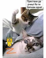 FB_IMG_1713606449521.jpg