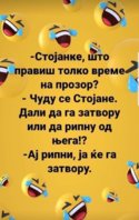 Messenger_creation_1643438646166413.jpeg