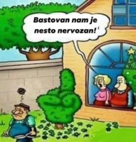 FB_IMG_1713697394004.jpg