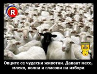 FB_IMG_1713717243549.jpg