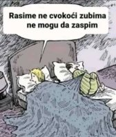FB_IMG_1713769632967.jpg