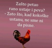 FB_IMG_1713795537726.jpg