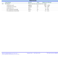 IMG_7439.jpeg