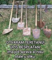 FB_IMG_1714256252470.jpg