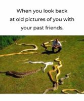 FB_IMG_1714318301603.jpg