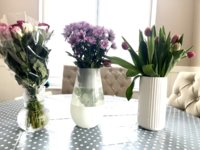 IMG_0832.jpeg